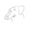 Vector illustration of a portrait of a cartoon dachshund drawing with lines