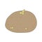 Vector illustration of potato with sprouts. Ripe fresh vegetable in cartoon style