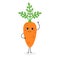 Vector illustration of pretty cartoon carrot isolated on white background