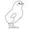 Vector illustration of a proud chicken preparing for Easter. Outline on an isolated background.