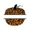 Vector illustration of pumpkin or cucurbita with leopard print monogram