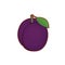 Vector illustration of purple plum