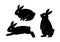 Vector illustration of rabbit. Various poses set. Black and white.