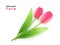 Vector illustration of realistic spring blooming tulip flower with leaves