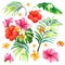 Vector illustration of a realistic style branch of a tropical palm tree with hibiscus flowers