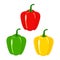 Vector illustration of red green yellow bell peppers. Healthy plant base diet vegetables microbiome gut health