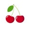 Vector illustration of ripe juicy sweet cherries on stem with green leaf. Healthy diet summer berries fruits vitamins.