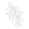 Vector illustration of a rosemary. A branch of rosemary. Stylized plant. Linear Art. Black and white drawing by hand