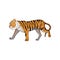 Vector illustration of running tiger, side view. Animal with orange fur and black stripes. Large wild cat