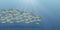 Vector Illustration of the sea landscape, school of fish. Plenty of herring or cod moving in the sea. Cartoon underwater