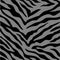 Vector illustration of seamless grey zebra pattern