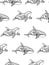 Vector illustration of seamless pattern from hand drawing patterned killer whale. Doodle Orca. Coloring page book anti stress
