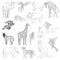 Vector illustration. Set of animals, parrot, giraffe, monkey, gazelle, elephant, rhinoceros, kangaroo, camel, lion, zebra, crocodi