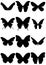 Vector illustration set of butterfly silhouettes.