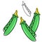 Vector illustration. A set of cartoon botanical drawings, green pea pods , a packaging design element