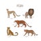 Vector illustration, set of cartoon cute felids. Cheetah, lion, tiger, jaguar, leopard