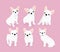Vector illustration set of cute adorable french bulldog puppies on pink background in flat cartoon style.