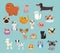 Vector illustration set of cute and funny cartoon pet characters. Different breed of dogs and cats
