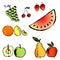 Vector illustration set of a different fruits