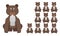 Vector illustration set of funny cartoon brown wild bear with facial Expressions