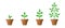 Vector illustration of a set of green icons - plant growth phase in a pot isolated