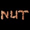 Vector illustration set of peanuts in word form nut. Isolated on black background