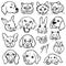 Vector illustration set with pets faces.