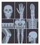 Vector illustration set of X-rays shots. Hand, Head, knee, and other parts of human body on X ray shots on white