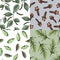 Vector Illustration set seamless pattern with hand drawn rosemary, clove, cordamom, peppercorn on green background. Botanical
