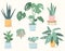 Vector illustration set of trendy house plants in pots: aloe vera, fiddle leaf fig, snake plant, monstera, burros tail
