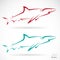 Vector illustration of shark