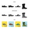 Vector illustration of shoe and footwear icon. Set of shoe and foot vector icon for stock.