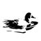 The vector illustration silhouette of swimming duck bird in white background
