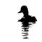 The vector illustration silhouette of swimming duck bird in white background