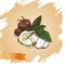 Vector illustration sketch - cheese, salad caprese. mozzarella, basil, tomato