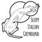 Vector illustration of a sleeping Italian greyhound