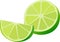 Vector illustration slice of lime or lemon fruit