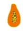 Vector illustration of sliced papaya isolated on white background