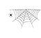 Vector illustration with a spider web and spider, insect. Drawn by hand, black ink. Autumn, Halloween. Template for printing