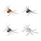 Vector illustration of spider and widow sign. Collection of spider and funny stock vector illustration.