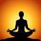 Vector illustration sport yoga sunset meditation on the nature logo web design