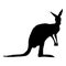 Vector Illustration of Standing Kangaroo