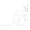 Vector Illustration of Standing Kangaroo