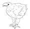 Vector illustration, Steller`s sea eagle in black and white colors, outline original hand painted drawing