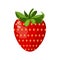 Vector illustration of a strawberry isolated on a white background alone