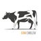 Vector illustration of a stylish spotted holstein cow.