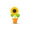 Vector illustration, Sunflower in a pot icon