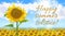 Vector illustration on the theme of the summer solstice. Sunny realistic summer landscape with a field of sunflowers.