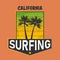 Vector illustration on the theme of surfing and surf rider in California, Venice beach. Stamp typography, t-shirt