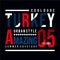 Vector illustration on the theme of TURKEY. Typography, t-shirt graphics, poster, print, banner, flyer, postcard - Vecto